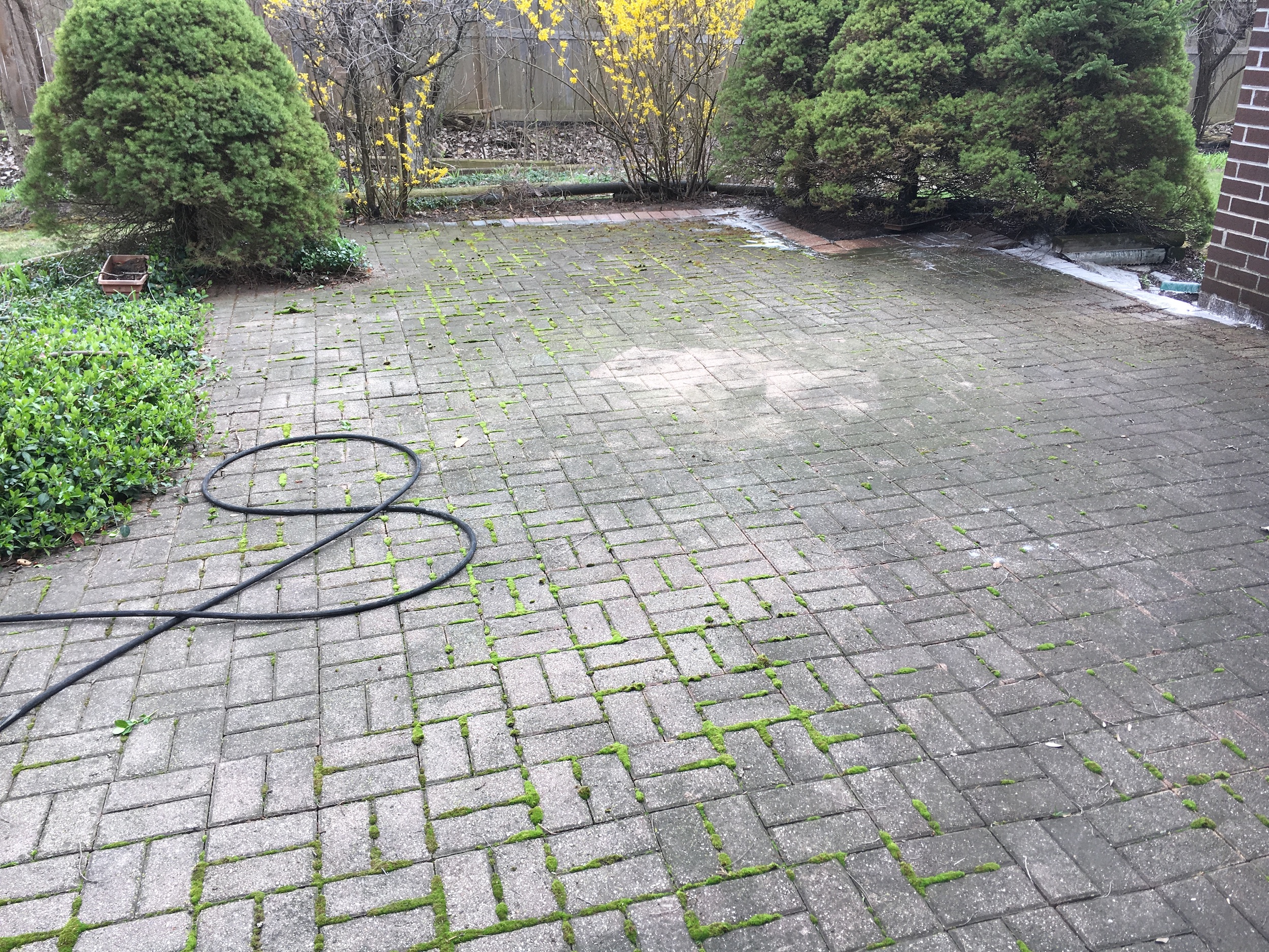 Paver Brick Cleaning Chicago